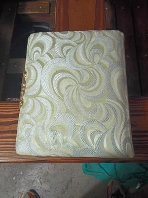 Antique Victorian Celluloid Photo Album Girl with Dove Art Nouveau Floral Large - Thumbnail 4