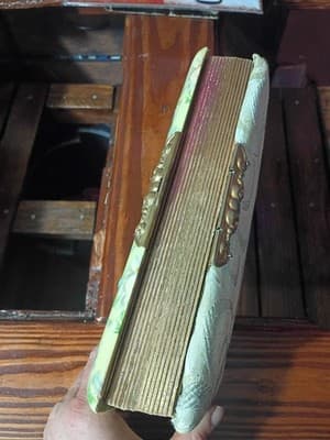 Antique Victorian Celluloid Photo Album Girl with Dove Art Nouveau Floral Large - Thumbnail 5