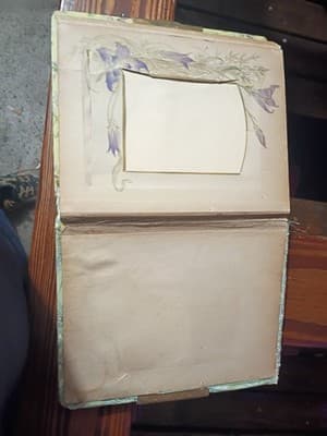 Antique Victorian Celluloid Photo Album Girl with Dove Art Nouveau Floral Large - Thumbnail 14