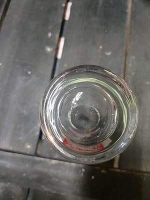 Vintage Mack Arctic Beer Pilsner Glass Norway Macks Olbryggeri Polar Bear EUC - Thumbnail 6