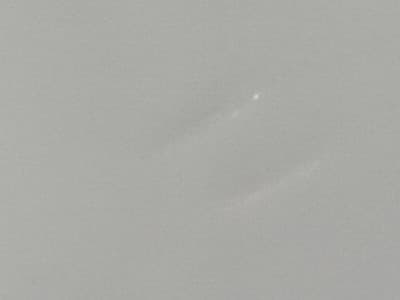 Antique C.T. Altwasser Silesia Divided Lobster Dish - Floral Gold Trim - 12 - Thumbnail 10