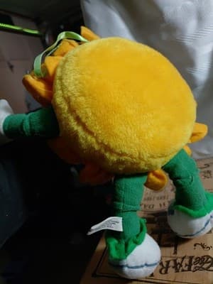 Daisy Plush Flowers, Inc. Balloons Stuffed Toy Flower Man Get Well Happy - Thumbnail 5