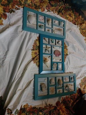 3 Piece Seashell Wall Art. Cabin Decorations - Image 1