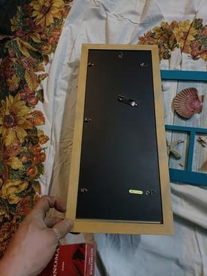 3 Piece Seashell Wall Art. Cabin Decorations - Thumbnail 5