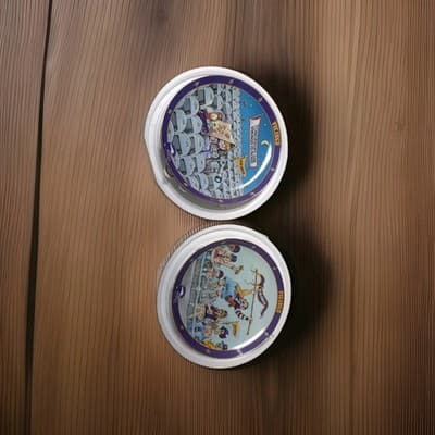 2 Danbury Mint Ultimate Vikings Fan Collector Plates Gary Patterson 8” - Image 1