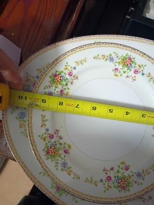 16-Pc National China Patricia Set - NO CHIPS - 15.5" XL Platter, Sugar/Creamer, - Thumbnail 9