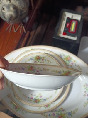 16-Pc National China Patricia Set - NO CHIPS - 15.5" XL Platter, Sugar/Creamer, - Thumbnail 6