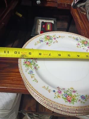 14-Pc Vintage National China Patricia Set - Service for 4 + Gravy Boat & Serving - Thumbnail 18