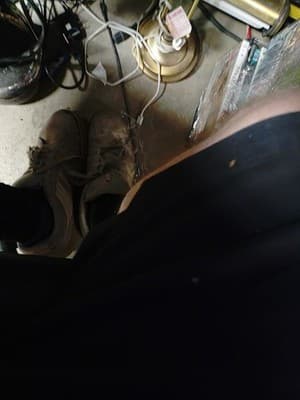 Lot 20 Dvd Movies. /Kids / Family - Thumbnail 6