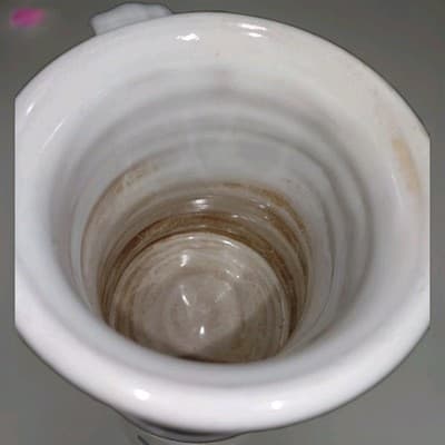 Daneen Pottery Coffee Mug Chestnut Hall Bed & Breakfast New Oxford Pennsylvania - Thumbnail 5