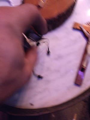 Lot Of 3 beautiful Jesus Pieces. A necklace,a wooden plaque and a cross . - Thumbnail 3