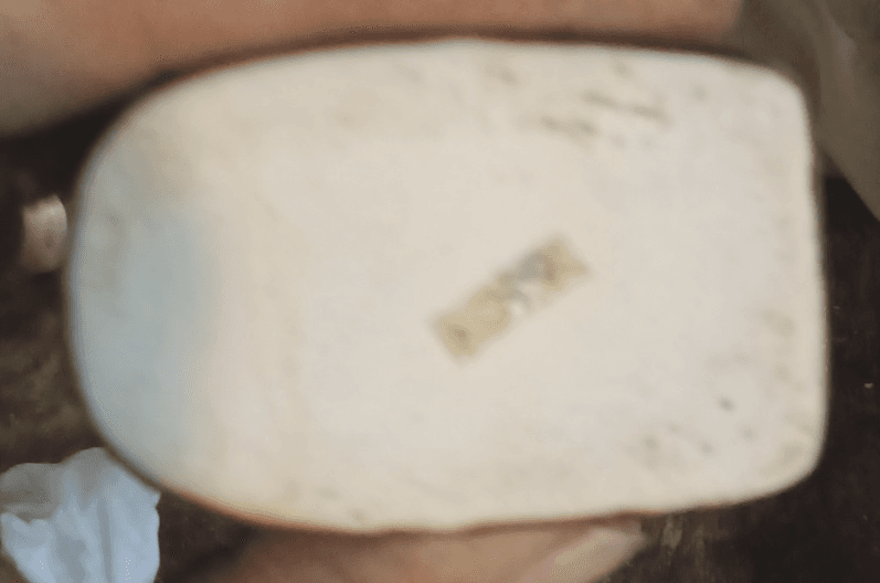 Rest Your Ash Toilet Florida Souvenir Ceramic Ashtray Alligator Vintage 1960s - Thumbnail 3