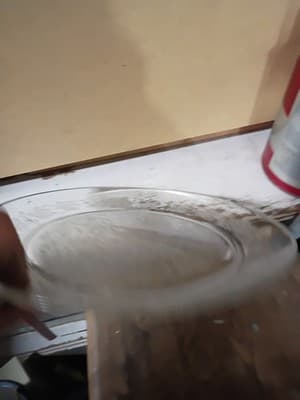 Vintage Federal Glass Poinsettia Clear 13" Platter Chop Plate Depression Glass - Thumbnail 5