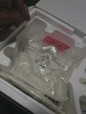 Dept 56 Snowbunnies - My Woodland Wagon Parked In Robins Nest Thicket New - Thumbnail 2