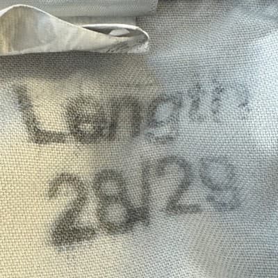 Carhartt Pants Mens 38x28 Navy Blue Ripstop Utility Workwear Outdoor Relaxed Fit - Thumbnail 5