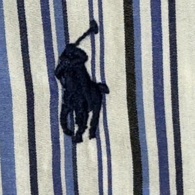 Ralph Lauren Shirt Mens XL Blue Striped Button Down Custom Fit Short Sleeve Pony - Thumbnail 7