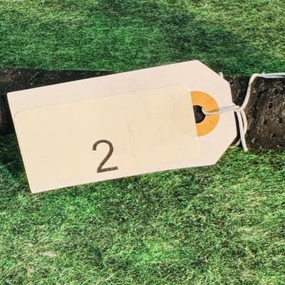 Easton Reflex Sheila Cornell Baseball Bat 31 In 21 Oz Youth Black Aluminum - Thumbnail 13