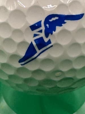 Wilson Smart-Core 2 Golf Ball Winged Foot Logo Professional Distance Collector - Thumbnail 2