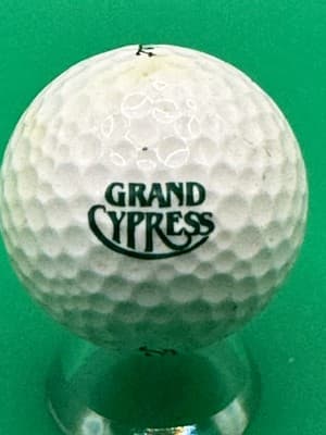 Titleist HP2 100 Golf Ball Grand Cypress Logo Collectible Vintage PGA Tour - Image 1