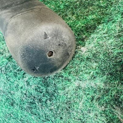 MasterGrip 415CR Mallet Putter Mens RH 36 In Steel Shaft Silver Golf Club - Thumbnail 9