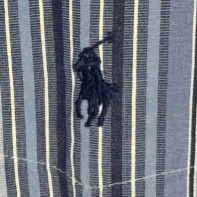 Ralph Lauren Shirt Mens LT Blue Stripe Blaire Button Down Long Sleeve Pony Logo - Thumbnail 7