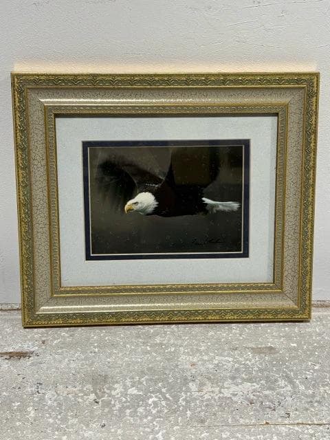 High & Mighty Eagle in Frame by Don Li-Leger - Image 1