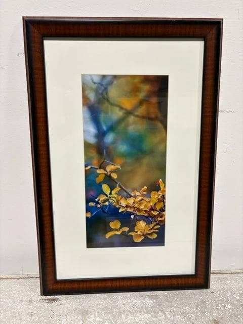 Yellow Foliage in Dark Frame Wall Art - Image 1