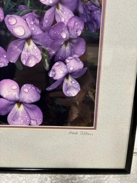 "Birdsfoot Violets" By Mark Pelton Framed Artwork - Thumbnail 2