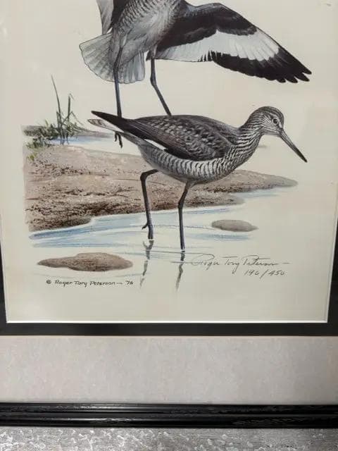 "Willets" By Roger Tory Peterson Framed Artwork - Thumbnail 2