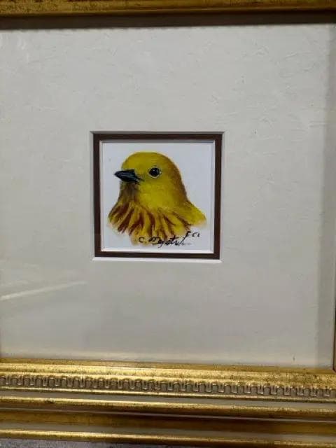 Yellow Warbler Original Signed Framed Artwork - Thumbnail 2
