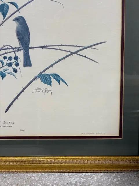 Painted Bunting Framed Artwork - Thumbnail 2