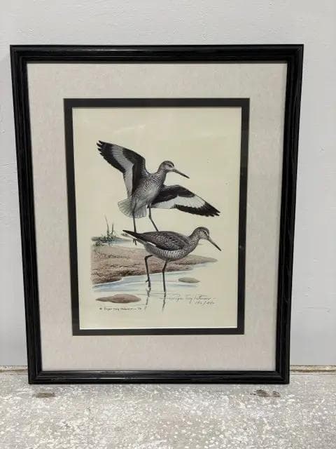 "Willets" By Roger Tory Peterson Framed Artwork - Image 1