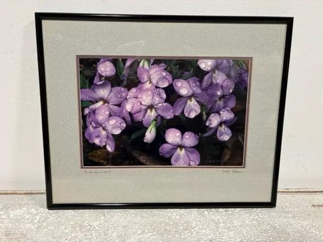 "Birdsfoot Violets" By Mark Pelton Framed Artwork - Image 1