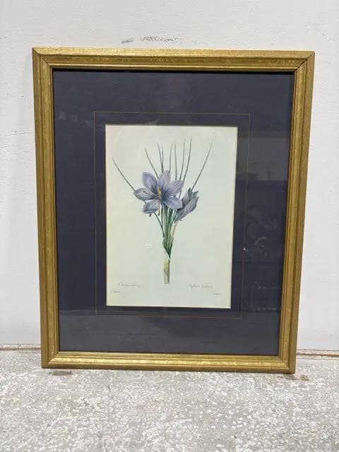 "Crocus Sativus" Framed Artwork - Image 1