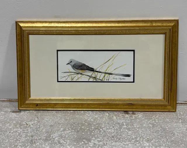 Scissortail Flycatcher by Carolyn Mejstrik Framed Wall Art - Image 1