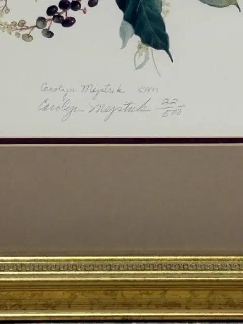 Eastern Bluebirds #122/500 by Carolyn Mejstrik Framed Wall Art - Thumbnail 2