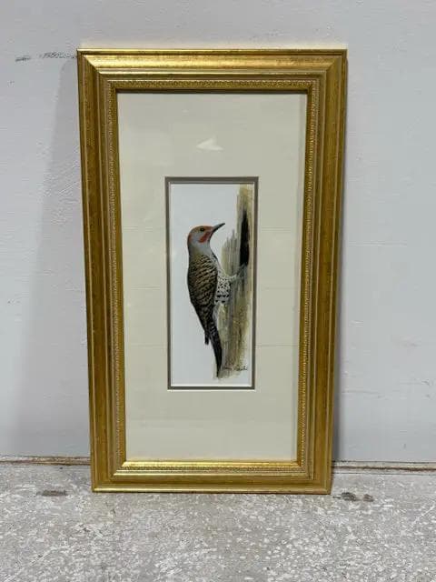 Northern Flicker Woodpecker by Carolyn Mejstrik Framed Wall Art - Image 1