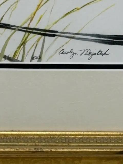 Scissortail Flycatcher by Carolyn Mejstrik Framed Wall Art - Thumbnail 2