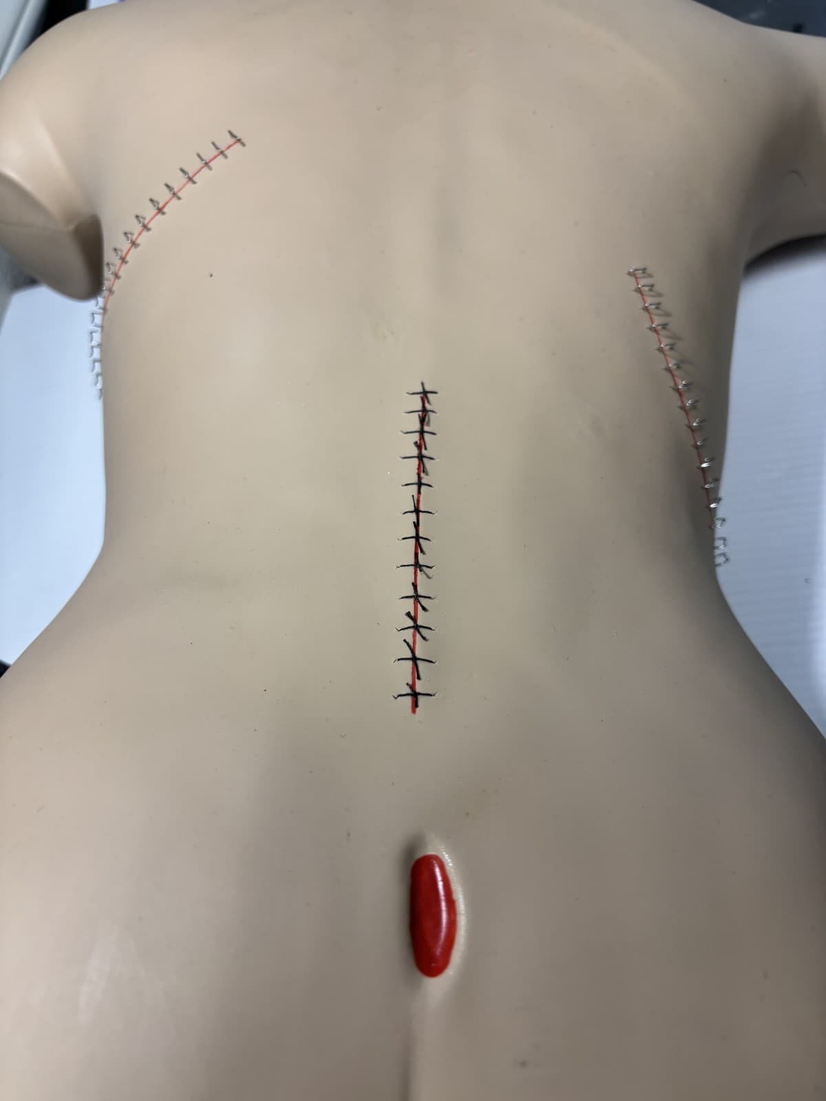 Life/Form Surgical Sally Bandaging Simulator - LF929U Great Condition with Case - Thumbnail 9