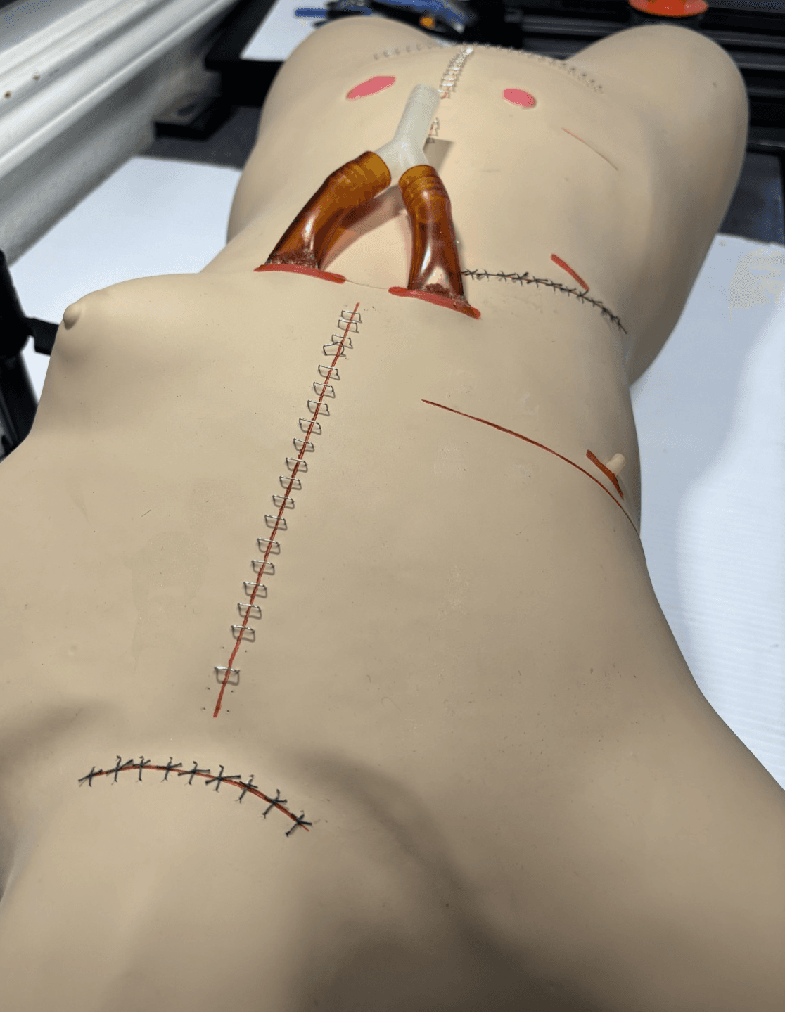 Life/Form Surgical Sally Bandaging Simulator - LF929U Great Condition with Case - Thumbnail 3