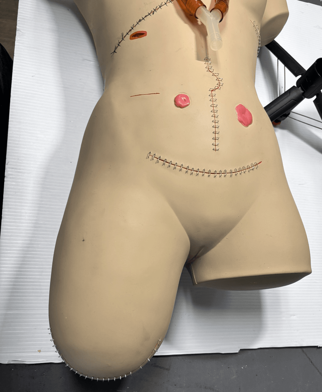 Life/Form Surgical Sally Bandaging Simulator - LF929U Great Condition with Case - Thumbnail 7