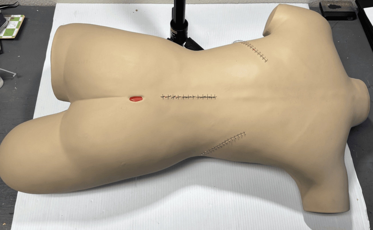 Life/Form Surgical Sally Bandaging Simulator - LF929U Great Condition with Case - Thumbnail 8