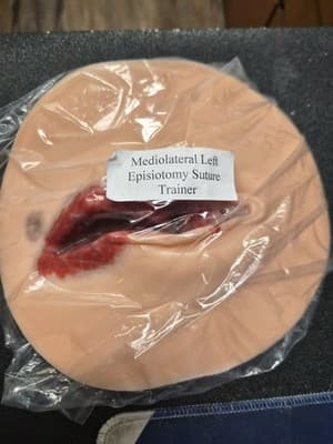 Left Mediolateral Suture Trainer - Image 1