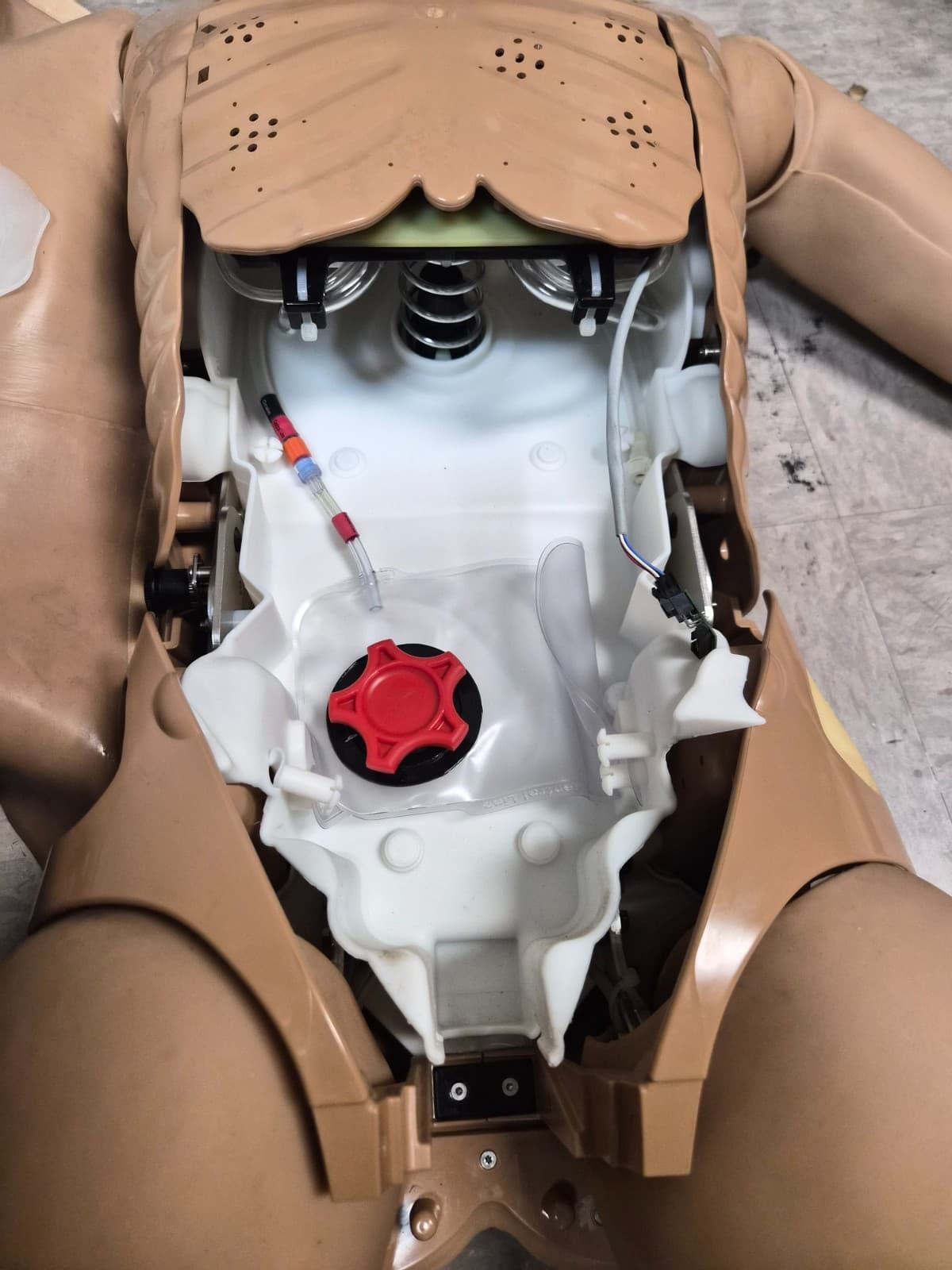 Laerdal Nursing Anne Simulator 320-05050 - Thumbnail 2