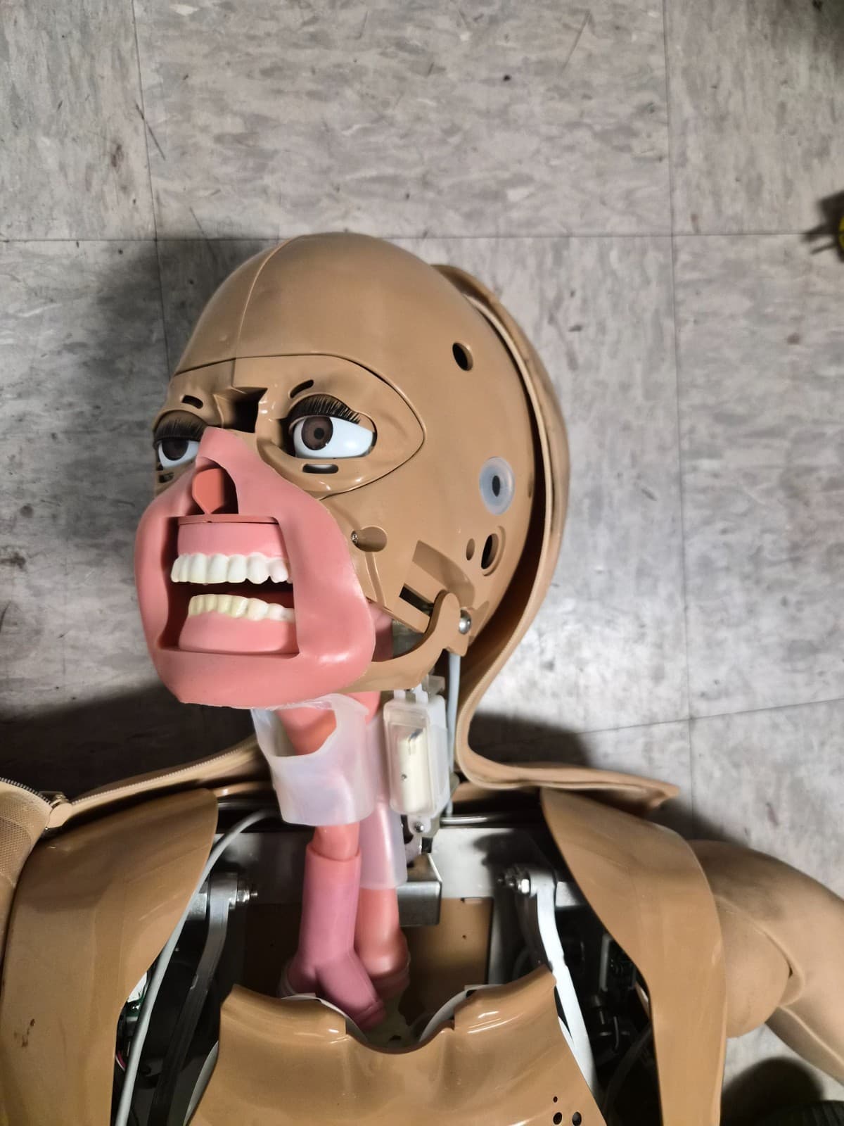 Laerdal Nursing Anne Simulator 320-05050 - Thumbnail 5