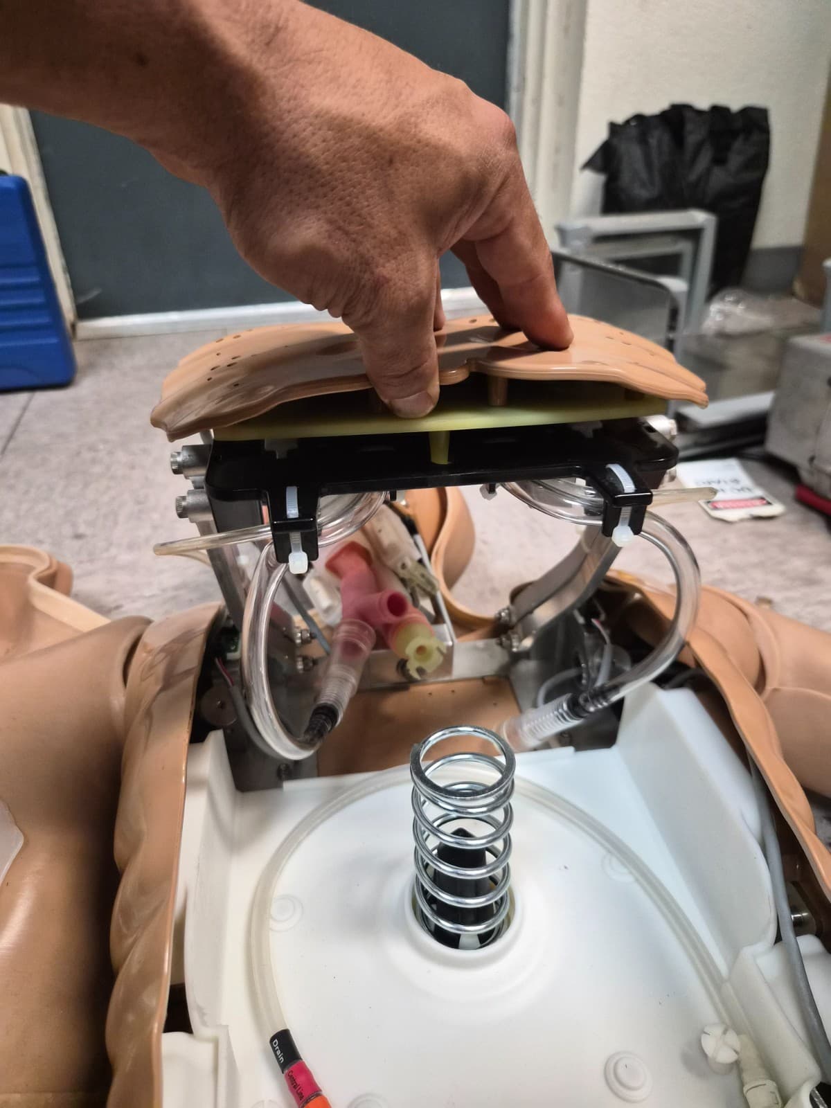 Laerdal Nursing Anne Simulator 320-05050 - Thumbnail 3