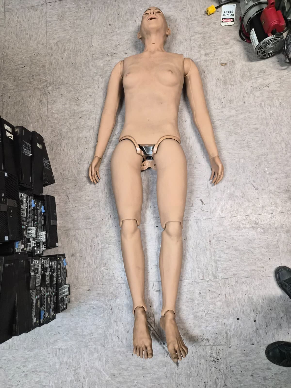 Laerdal Nursing Anne Simulator 320-05050 - Thumbnail 12