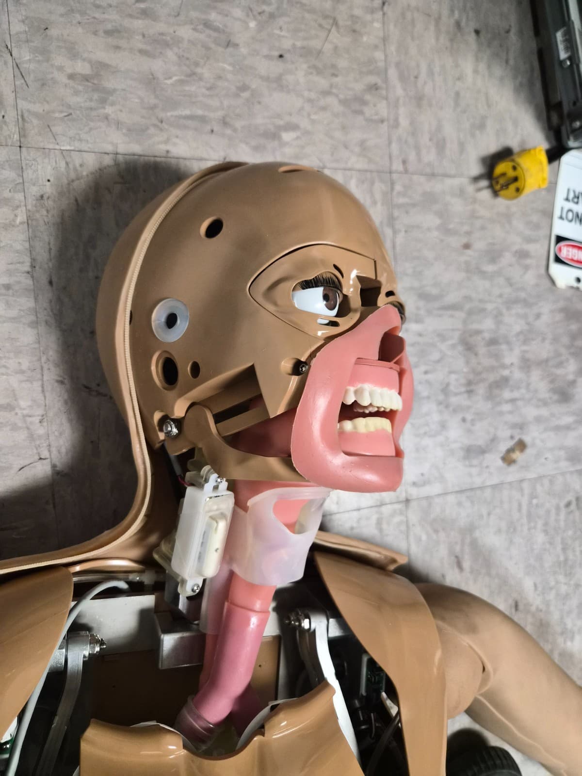 Laerdal Nursing Anne Simulator 320-05050 - Thumbnail 6