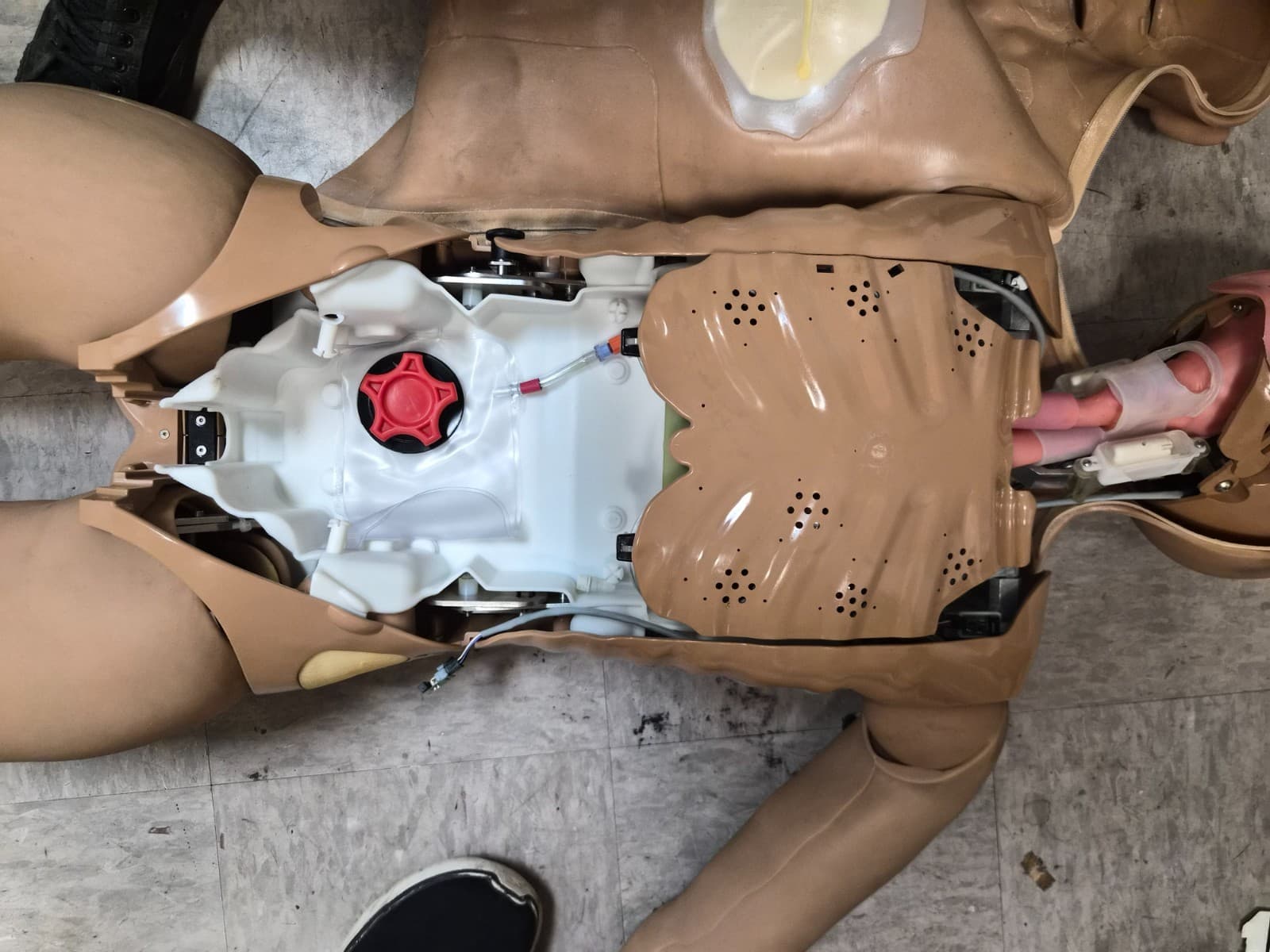 Laerdal Nursing Anne Simulator 320-05050 - Thumbnail 4