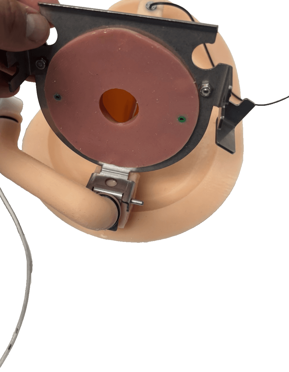 Left Mediolateral Suture Trainer - Thumbnail 4